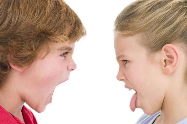 Como resolver conflito entre irmãos?